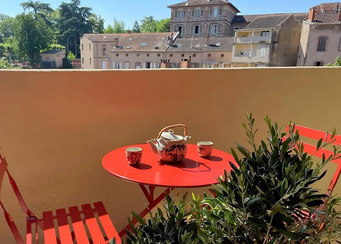 Fenetre Sur Cour - Albi Centre - Parking Prive